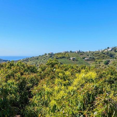 Villa Javier De Frigiliana By Ruralidays Dış mekan fotoğraf